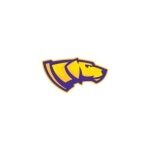 UW-Stevens Point Athletics coupons and promo codes