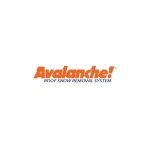Avalanche Roof Snow coupons and promo codes