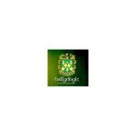 Ballydoyle Irish Pub coupons and promo codes
