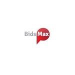 BidsMax coupons and promo codes
