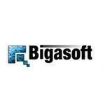 Www.bigasoft.com coupons and promo codes