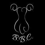 Big Black Clothes coupons and promo codes