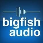 Big Fish Audio coupons and promo codes