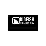 Big Fish Presentations coupons and promo codes