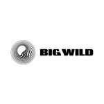 Big Wild coupons and promo codes