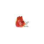 Birds at Noon coupons and promo codes