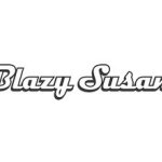 Blazy Susan coupons and promo codes