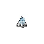 Blue Eagle Labs coupons and promo codes