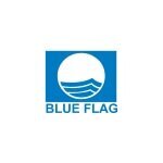 Blue Flag coupons and promo codes