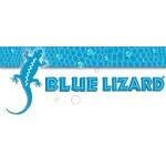 Bluelizard.net coupons and promo codes
