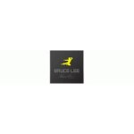Bruce Lee coupons and promo codes