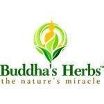 Buddhas herbs coupons and promo codes