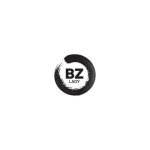 BZ Lady coupons and promo codes