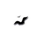Cape Cod Leather coupons and promo codes