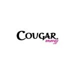 Ryan Custer coupons and promo codes