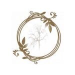 Devuche coupons and promo codes