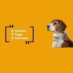 DogCustomTag coupons and promo codes