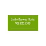 Emilio's Bayway Florist coupons and promo codes