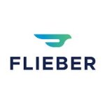 Flieber coupons and promo codes