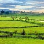 Glcdirect.com coupons and promo codes