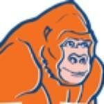 Global Ape coupons and promo codes