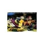 Greengurugear.com coupons and promo codes