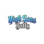 High Seas Rally coupons and promo codes