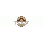 If the Shoe Fits coupons and promo codes
