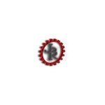 James Barone Racing coupons and promo codes