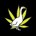 Loose Goose CBD coupons and promo codes