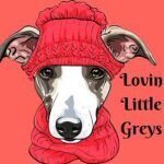 Lovin Little Greys coupons and promo codes