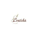 Lucida Guitars coupons and promo codes