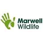 Marwell Zoo coupons and promo codes