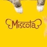 Miscota coupons and promo codes