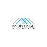 Montage Mountain Waterpark coupons and promo codes