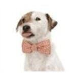 Nakeddecor.com coupons and promo codes