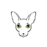 Naked Kitty Co. coupons and promo codes