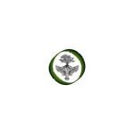 Oak Tree Owl Bookkeeping coupons and promo codes