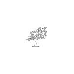 Orchard Audio coupons and promo codes