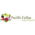 Pacific Callas coupons and promo codes
