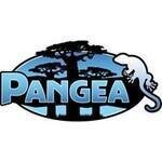 Pangea Reptile Co. coupons and promo codes