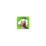 Petventures coupons and promo codes