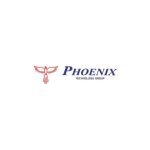 Phoenix Technology coupons and promo codes