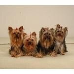 Puppy Stairs coupons and promo codes