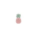 Pyneapple coupons and promo codes