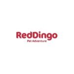 Reddingo coupons and promo codes