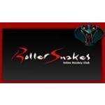 Roller Snakes coupons and promo codes