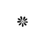 Ruby & Daisy coupons and promo codes
