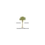 Savannah Luxury Rentals coupons and promo codes