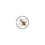 Buzz World Shop coupons and promo codes